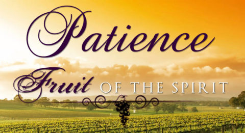 The Fruit Of Patience 