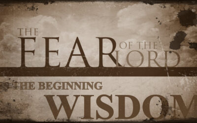 Wisdom Fears God