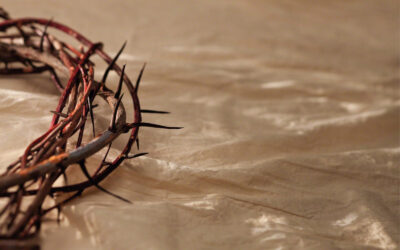 A Crown of Thorns for a Crown of Life