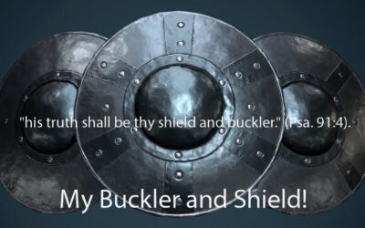 Christ, My Shield and Buckler!